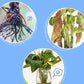 ✨ Soluzione nutritiva universale per piante: favorisce la crescita e la vitalità! ✨