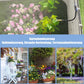 🔥Ultimo giorno di sconto del 50%✨🌱Sistema di irrigazione automatico da giard