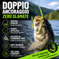 💪✨ 50% DI SCONTO! Ami da pescai