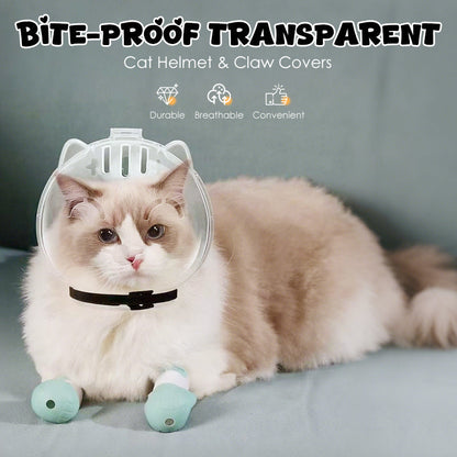 Casco trasparente anti-morsi per gatti e copri zampe