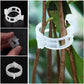 🗜️Clip per piante rampicanti – Fascette in plastica per pomodori e fermagli per piante 🌱🍅