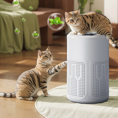 🎁 2026 Nuovo Arrivo 50% DI SCONTO 💥 🌬️ Purificatore d'Aria Compatto per la Casa – Rimuove gli Odori degli Animali Domestici e Purifica l'Aria 🐾