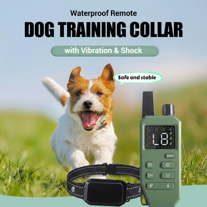 Collare impermeabile telecomandato per addestramento cani con vibrazione e shock