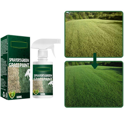 🔥Offerta speciale: 46% di sconto sullo spray vernice verde erba