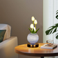 Elegante lampada da notte a forma di mazzo di tulipani