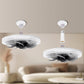 Lampada con ventilatore 2 in 1, silenziosa e regolabile, con telecomando