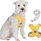 Set Pettorina per Cani Anti-Trazione a X con Guinzaglio