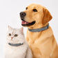 Collari regolabili contro pulci e zecche per cani e gatti